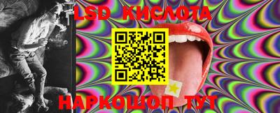 ГАЛЛЮЦИНОГЕННЫЕ ГРИБЫ Камышлов