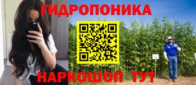 ГАЛЛЮЦИНОГЕННЫЕ ГРИБЫ Камышлов