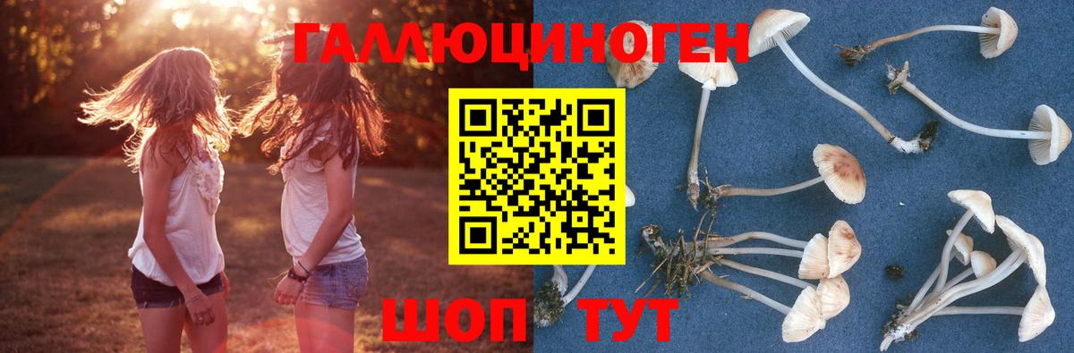 Псилоцибиновые грибы мухоморы Михайловск