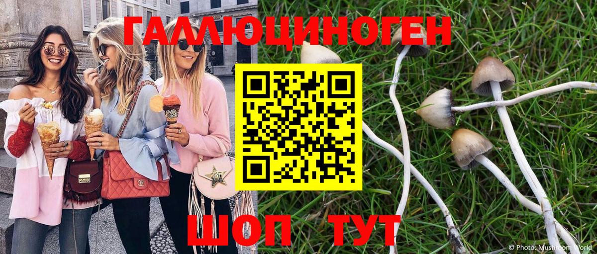 Михайловск  Псилоцибиновые грибы GOLDEN TEACHER  Вход с VPN 